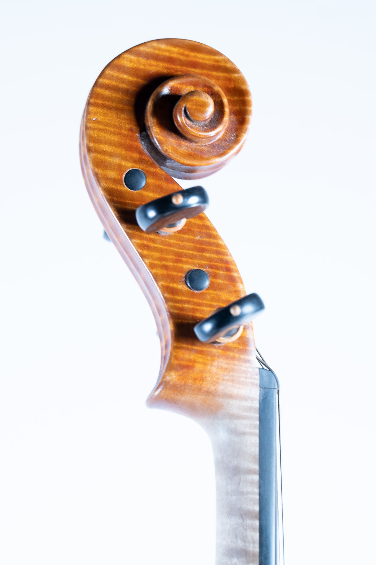 Maple Leaf Strings Master Lucienne Collection Viola
