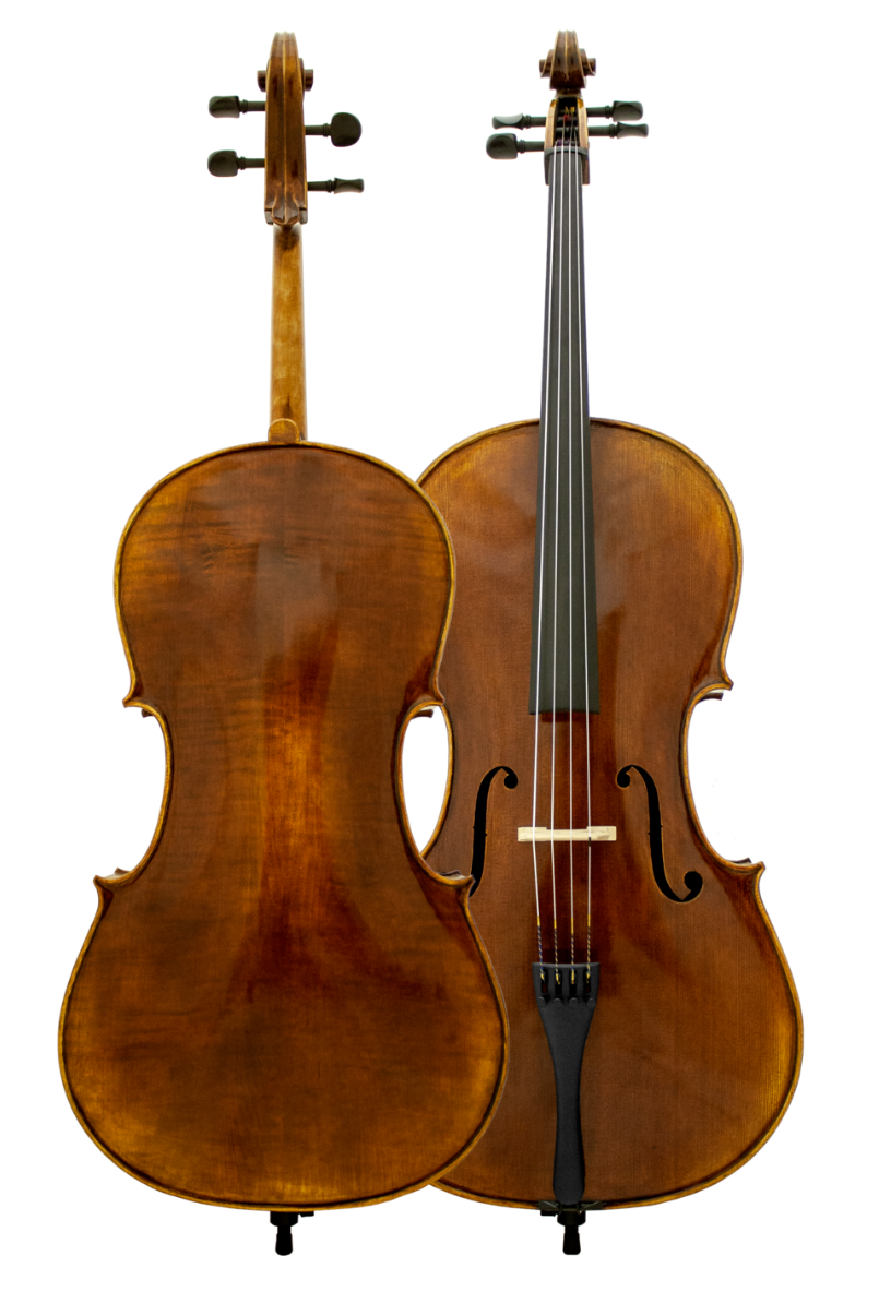 CELHNE MLS Chaconne Cello 【公式通販】