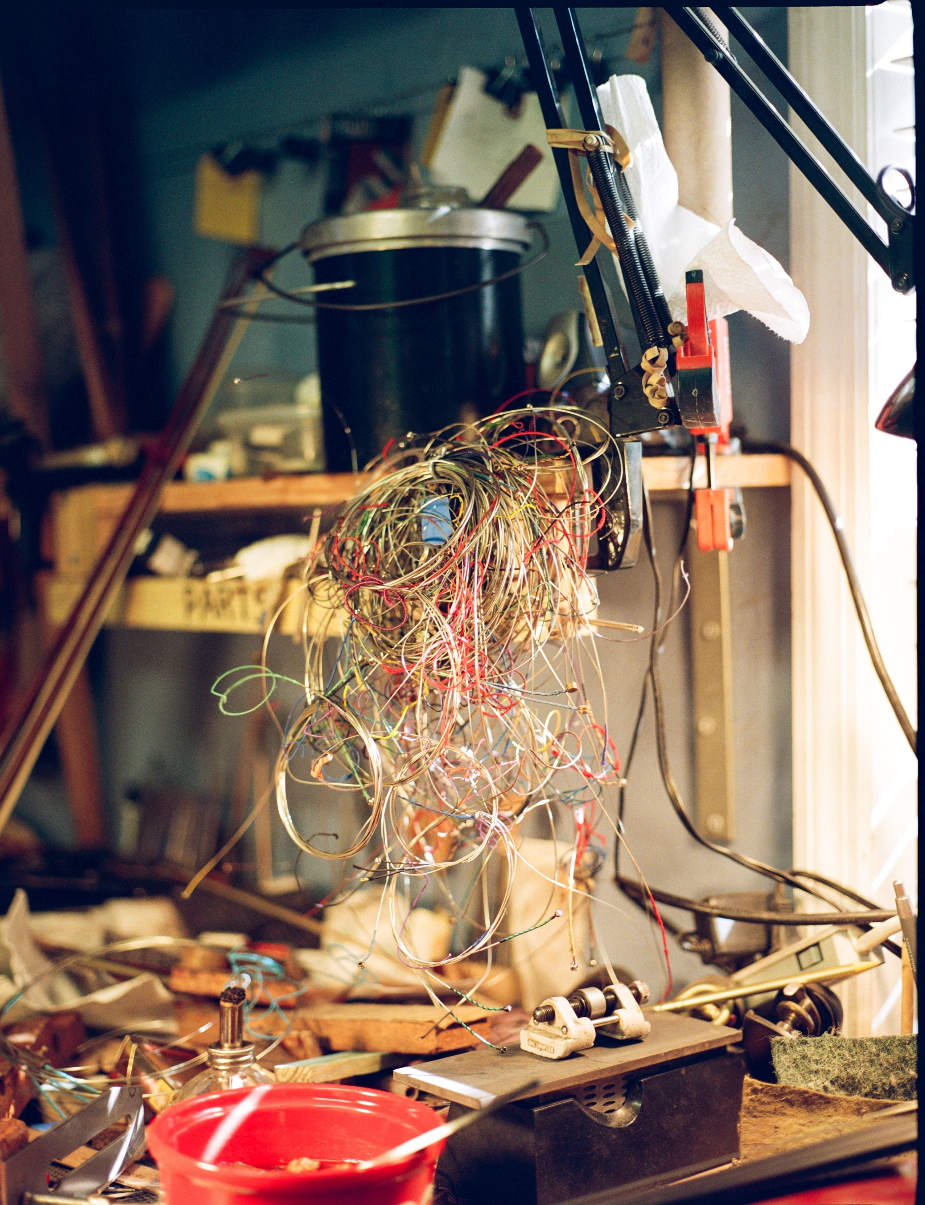 Luthier Shop vs. General Music Store