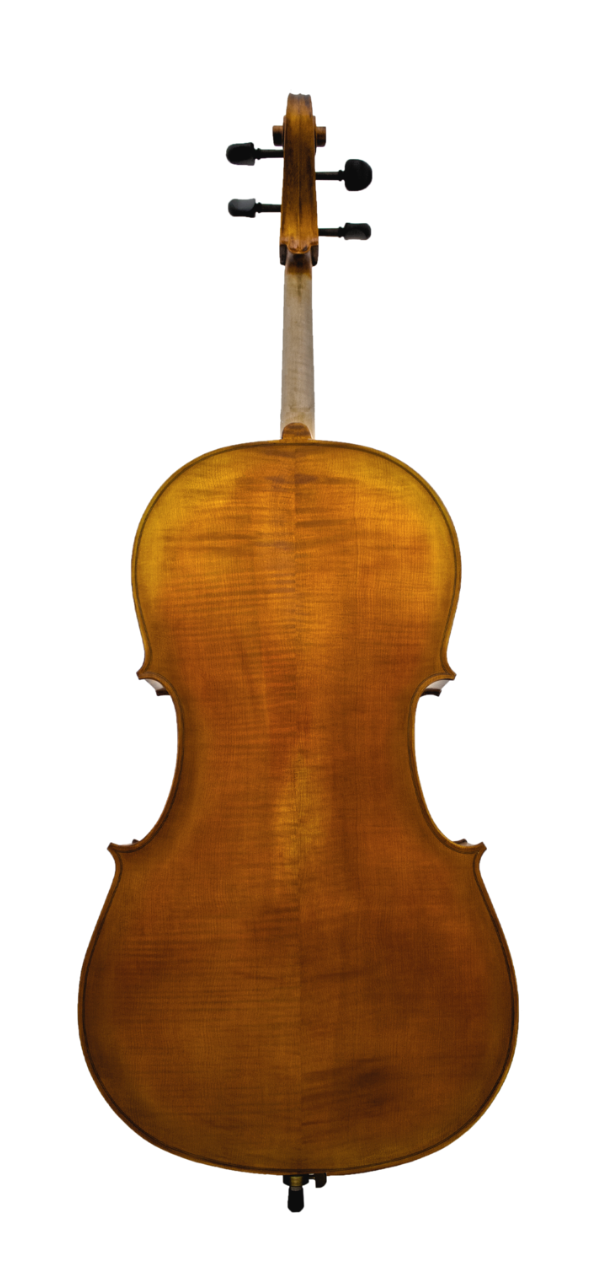 Maple Leaf Strings MLS 140 Apprentice Collection Cello Outfit