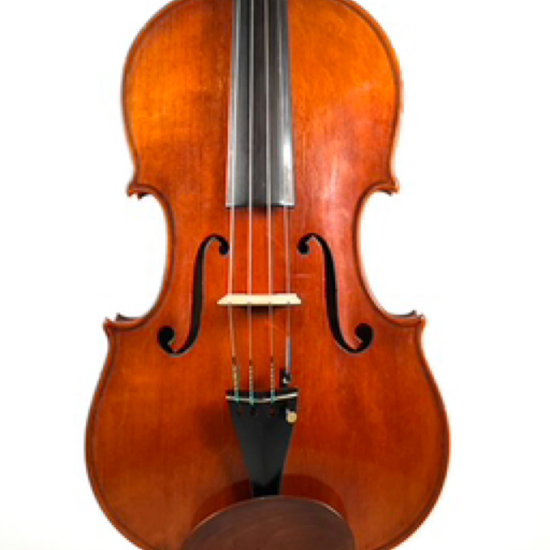 Modern Viola 16”