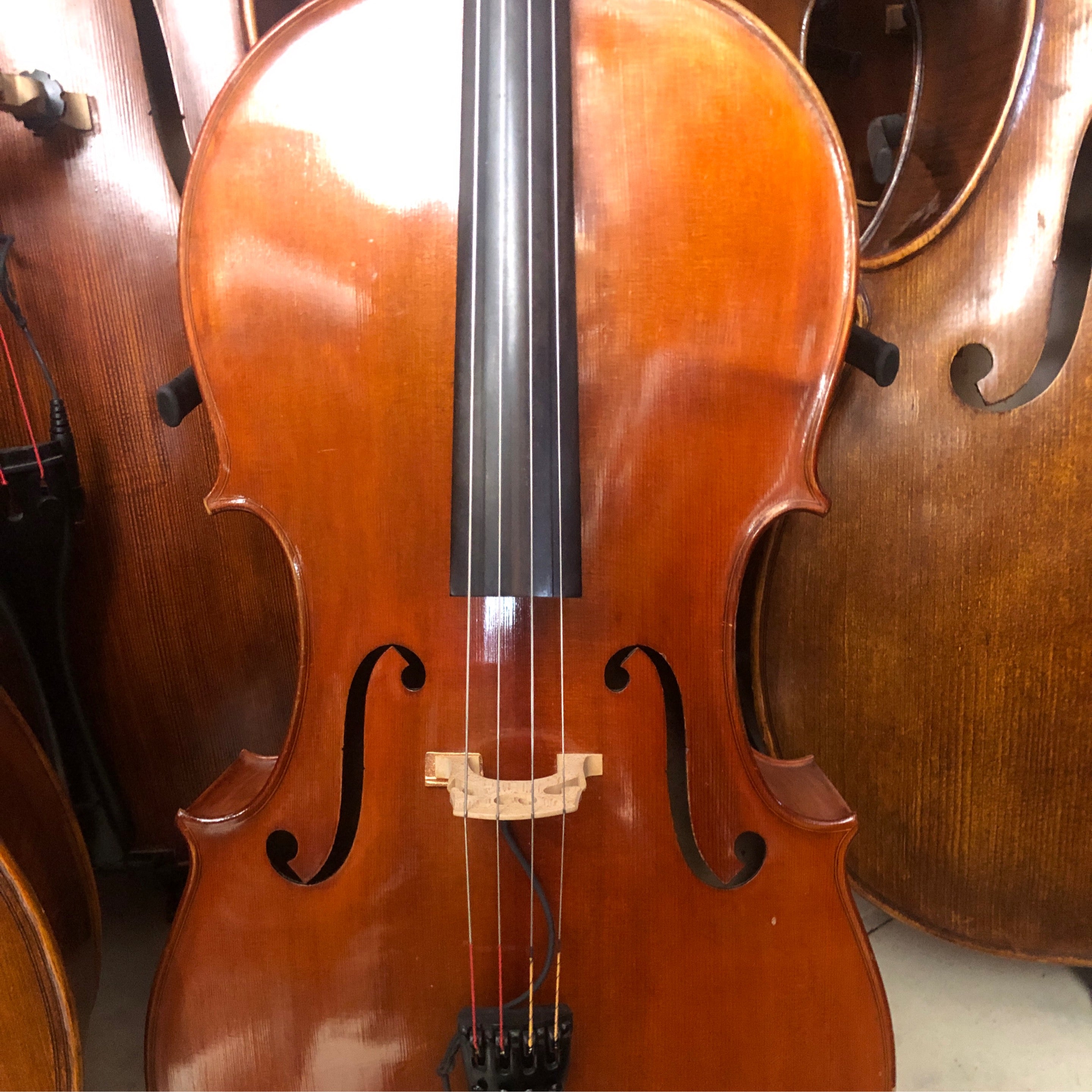 Lorenzo Bellafontana 1935 Cello