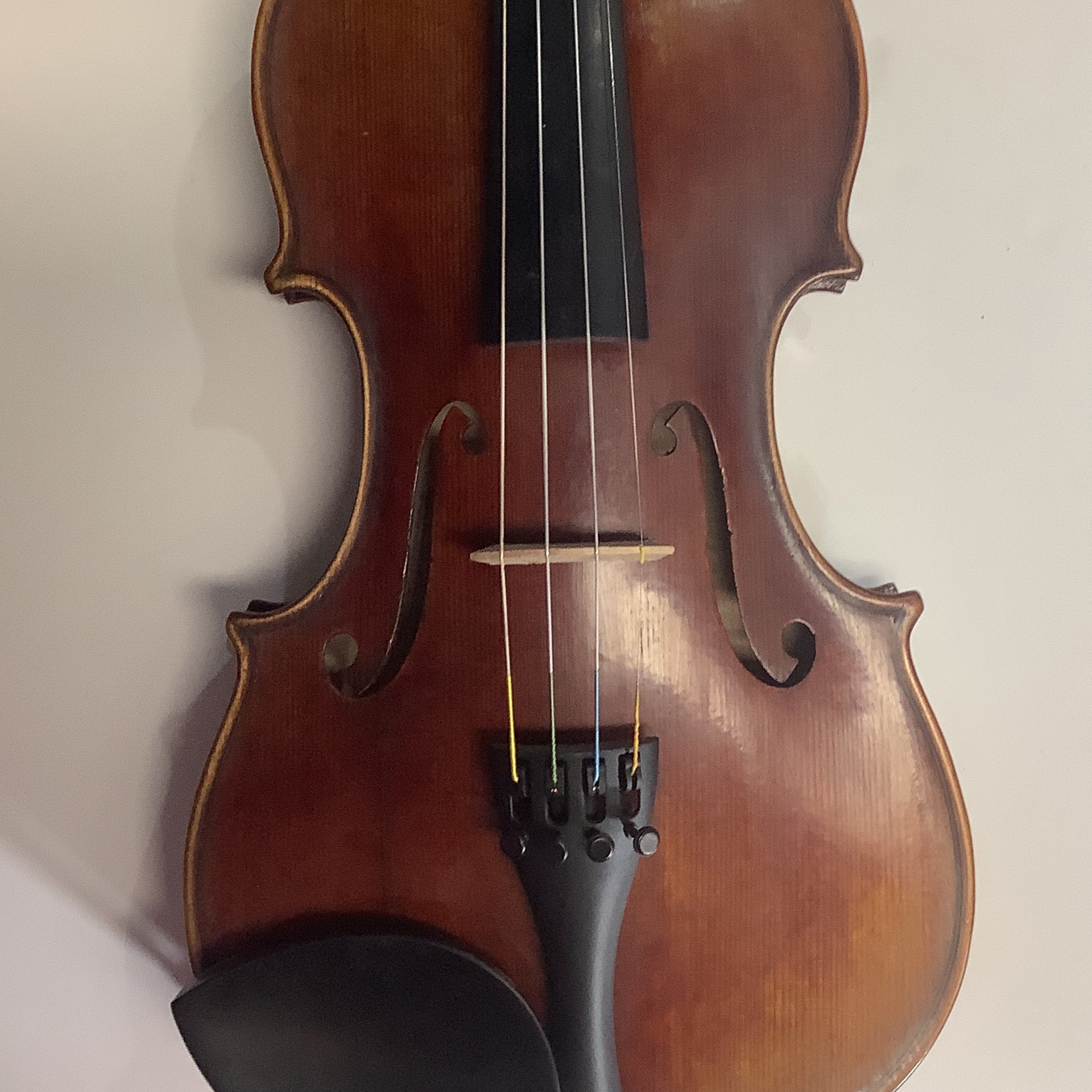 Revelle 800 Violin