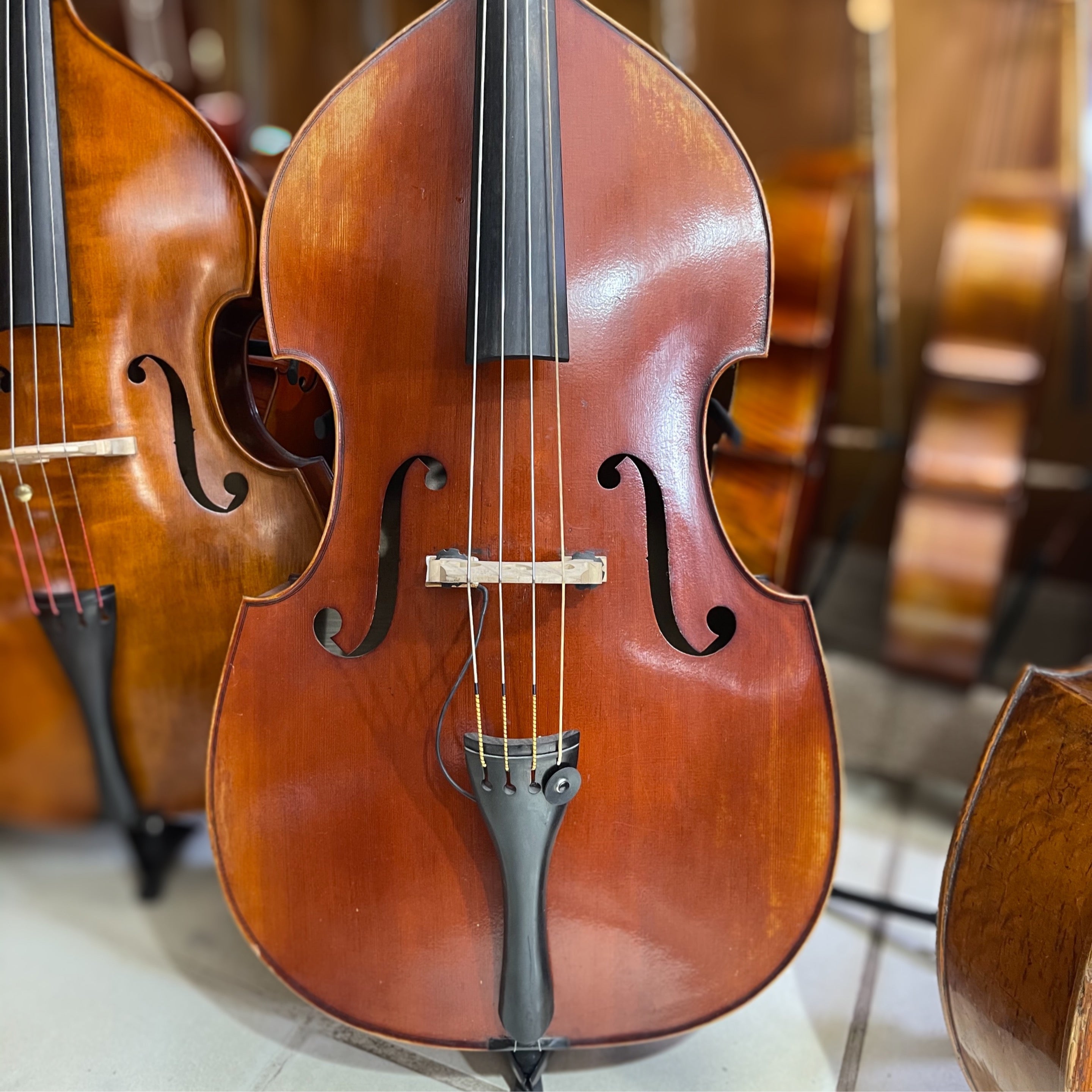 MLS 150 Double Bass by Maple Leaf Strings