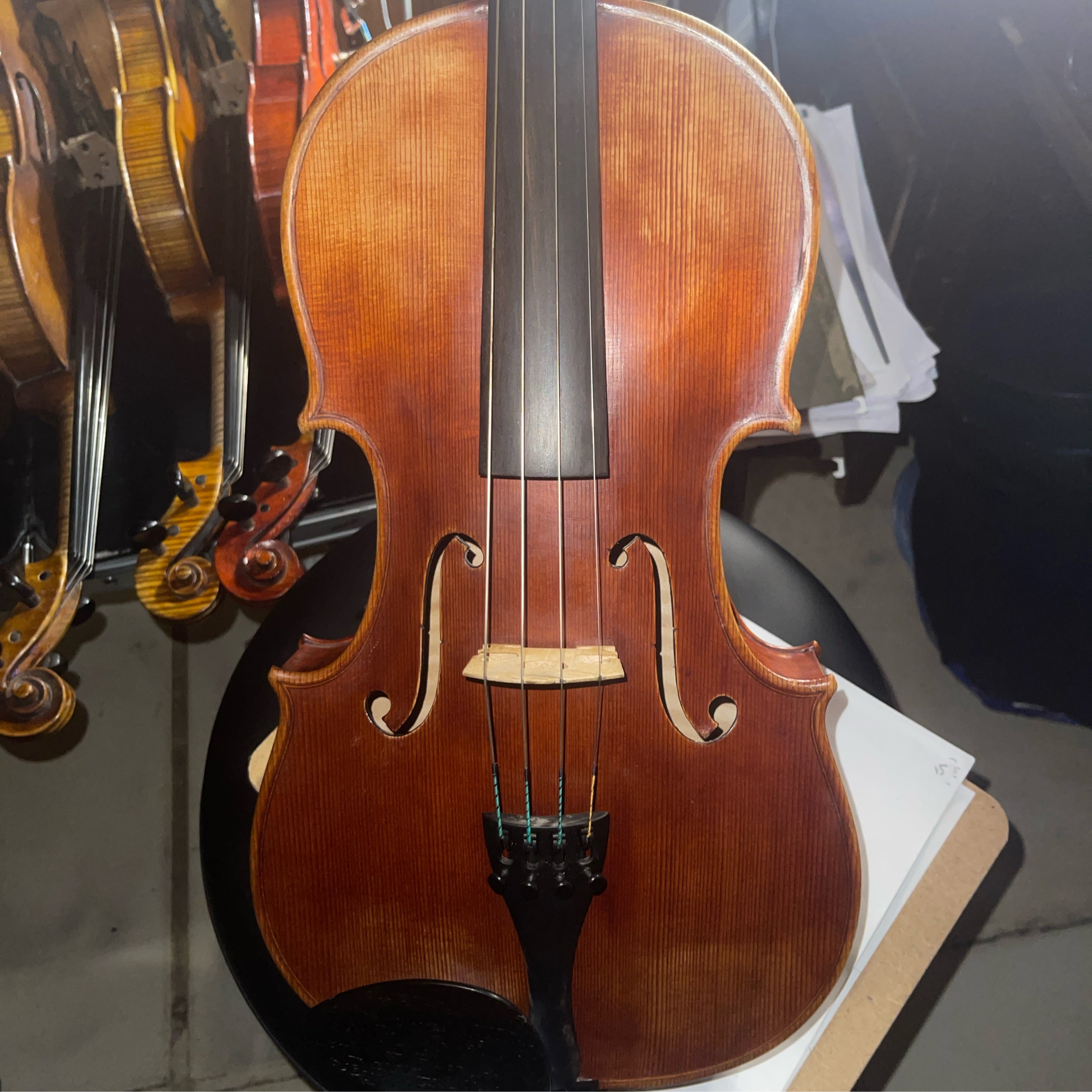 Custom Label 16.25” Viola