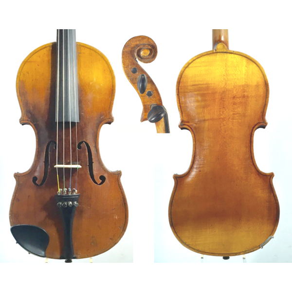 Maple Leaf Strings Master Linn Collection Violin 4/4 Size | Miami
