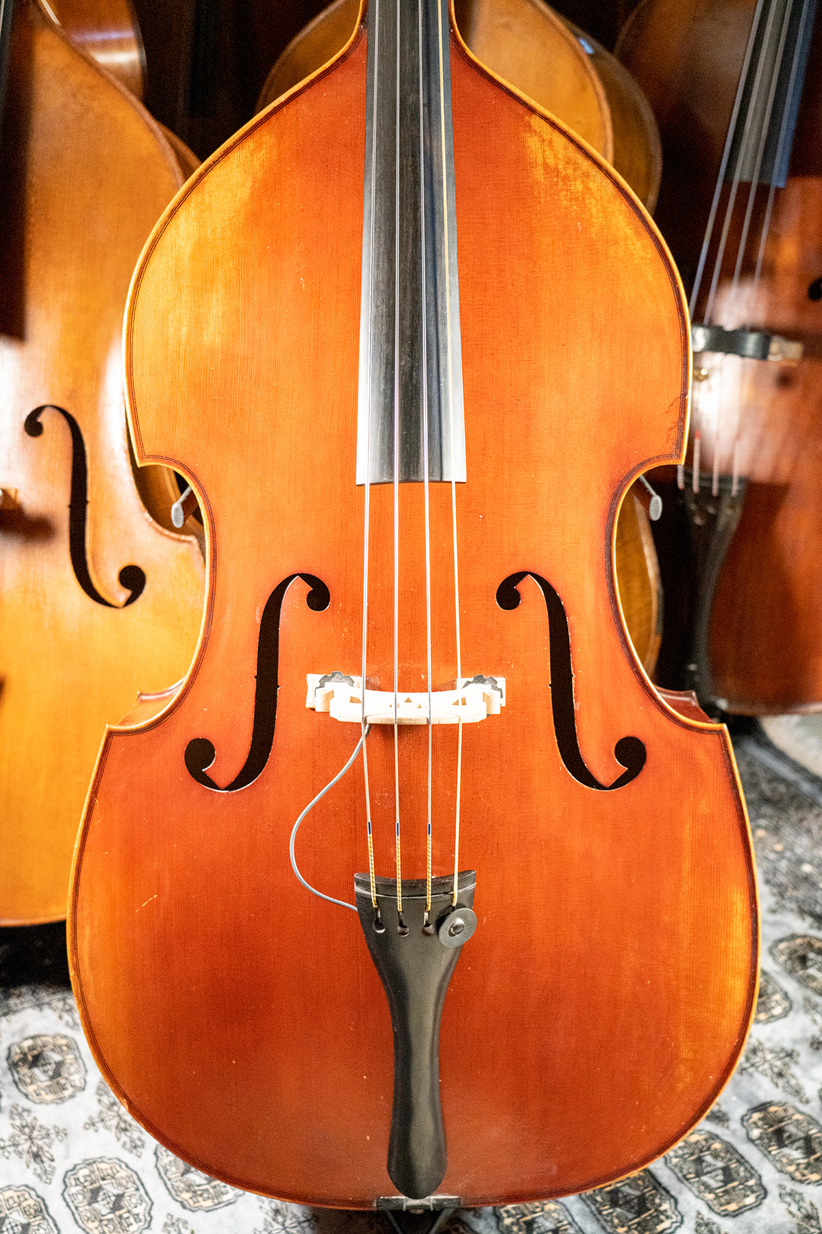 MLS 150B Antiqued Red Double Bass Front