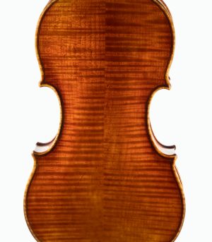 Jay Haide Vuillaume Violin with Vision Solo Strings Back