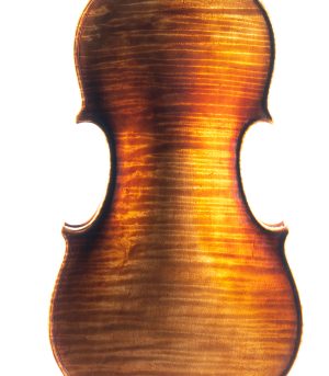 Revelle-700-Violin-Back